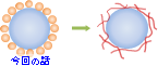 今回の話し